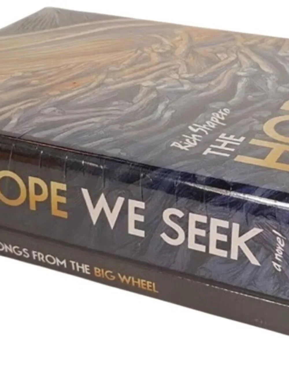The Hope We Seek Rich Shapero Collector Edition Hardcover Book & Music CD Sealed